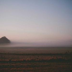 Detectivul